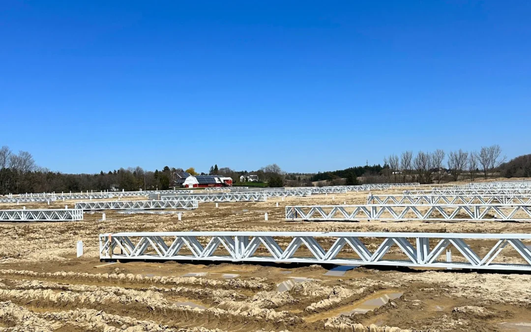 Greenhouse Gold: How Kinghaven Farms’ Lettuce is Set to Change the Salad Game