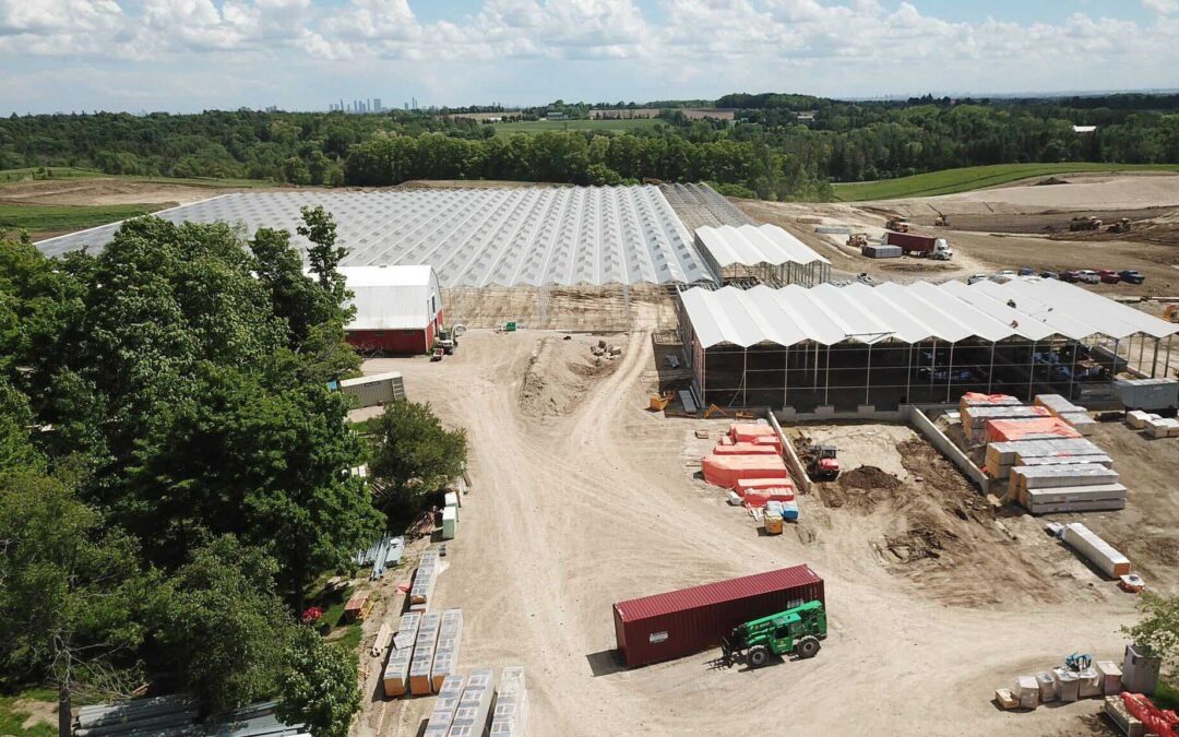 Globe and Mail: Local lettuce: Amid imported food shortages, greenhouse farming takes off in Canada