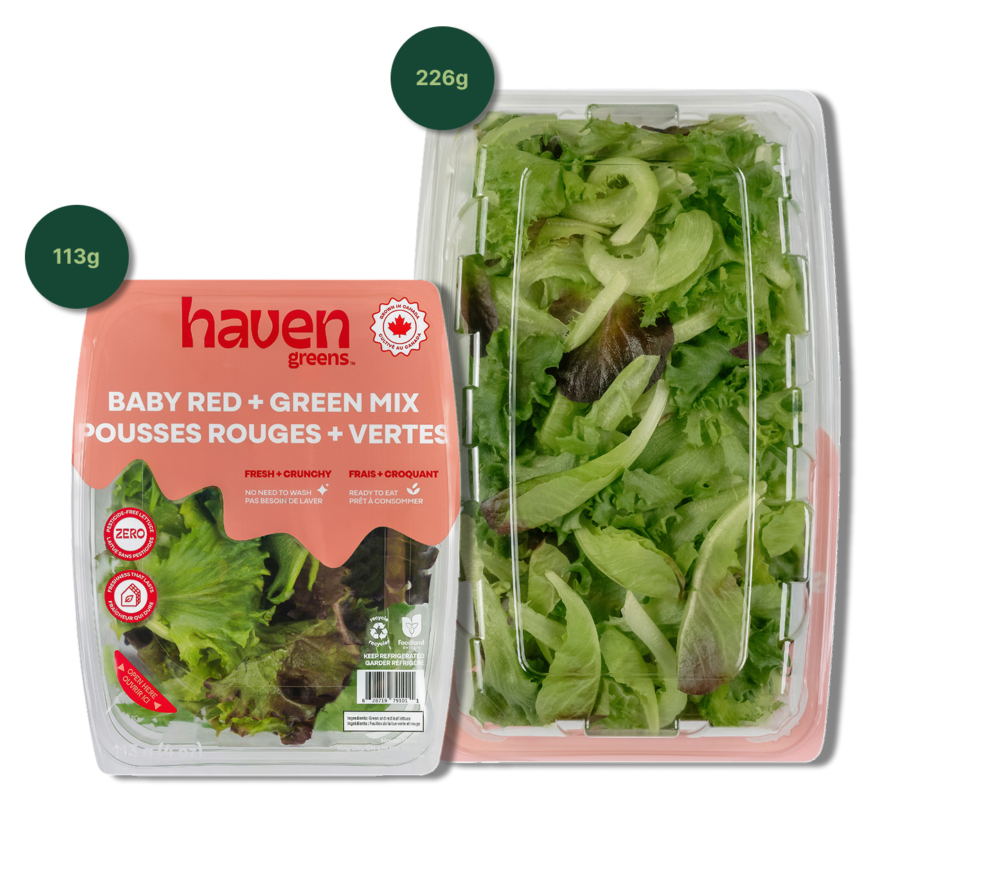 Haven Greens -