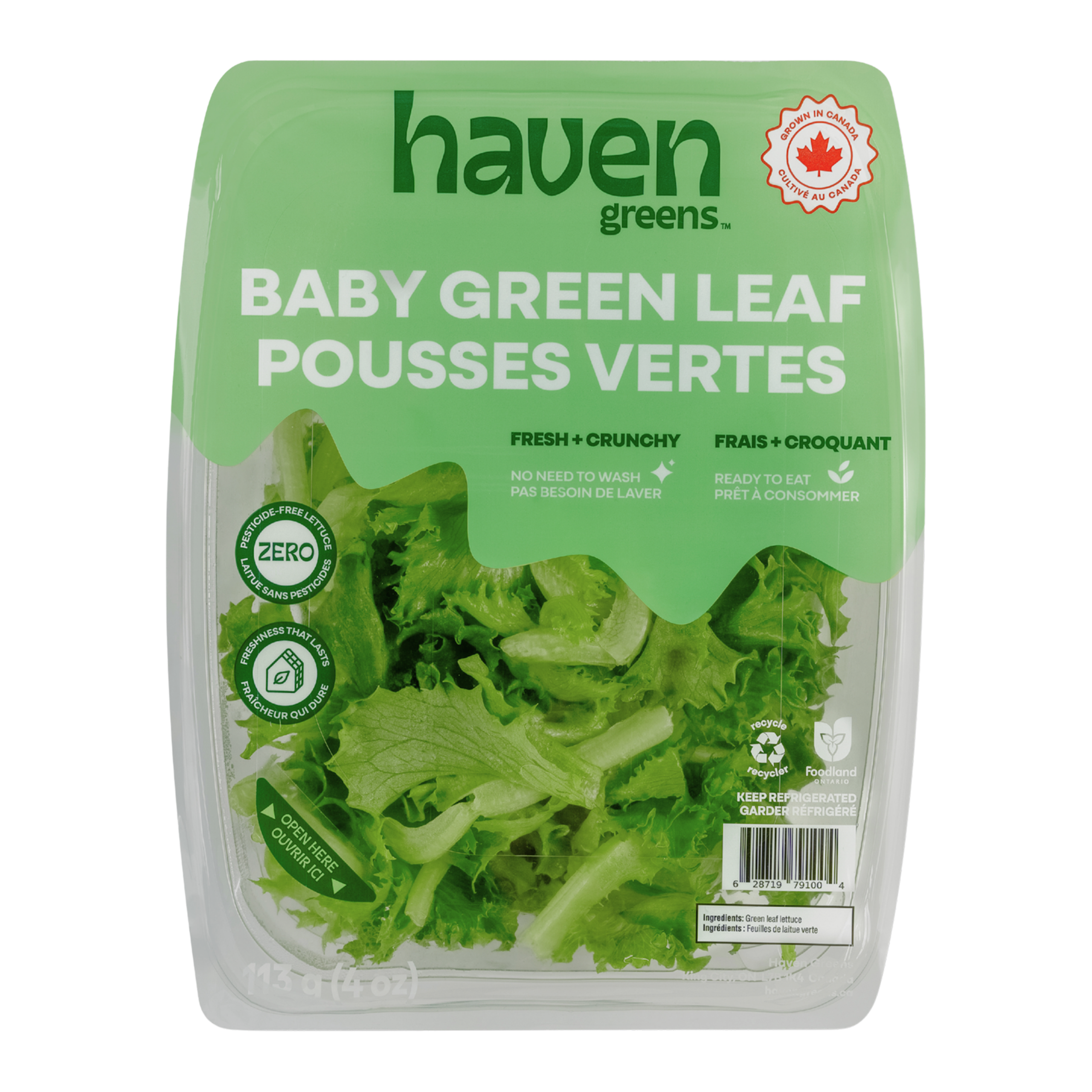 Haven Greens -