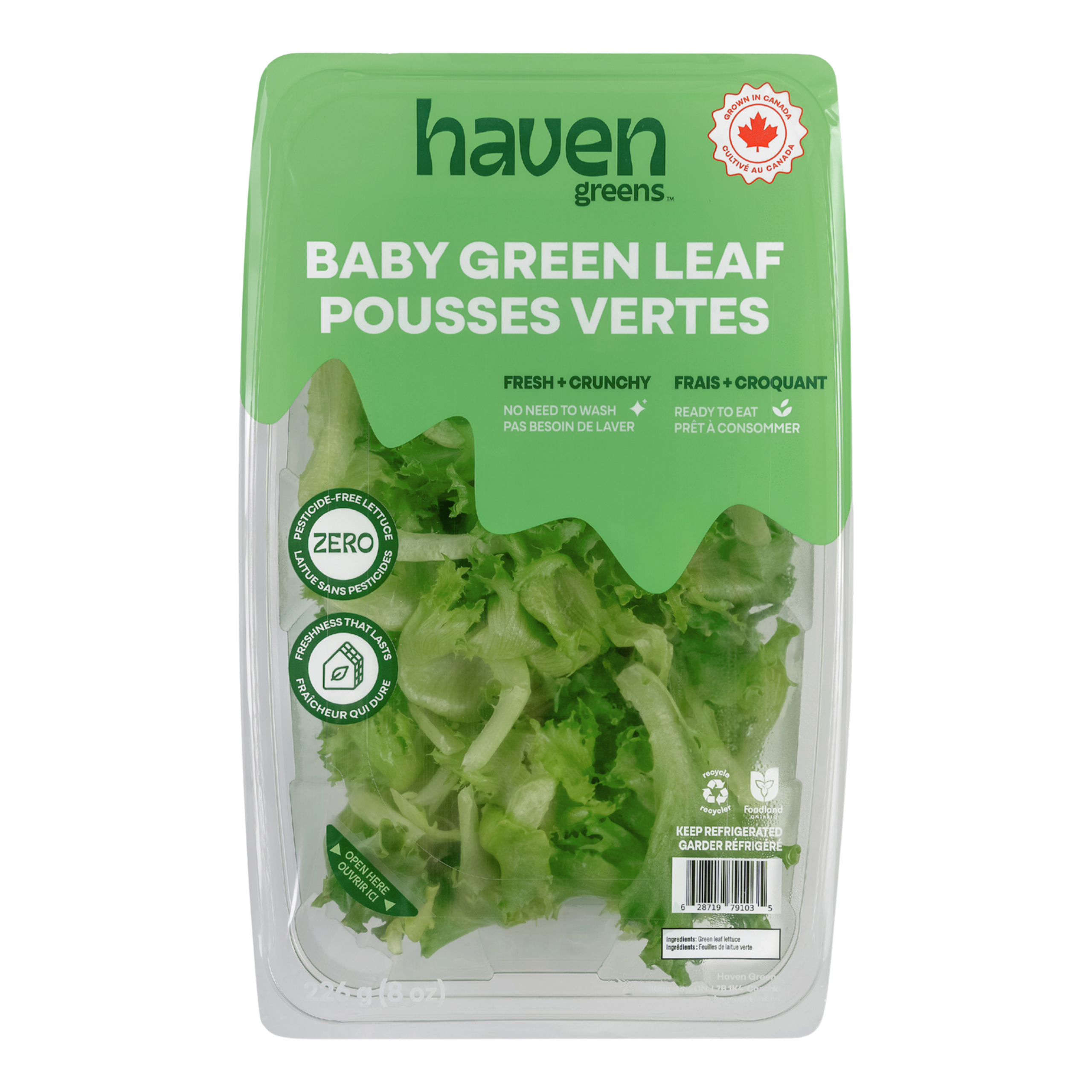 Haven Greens -