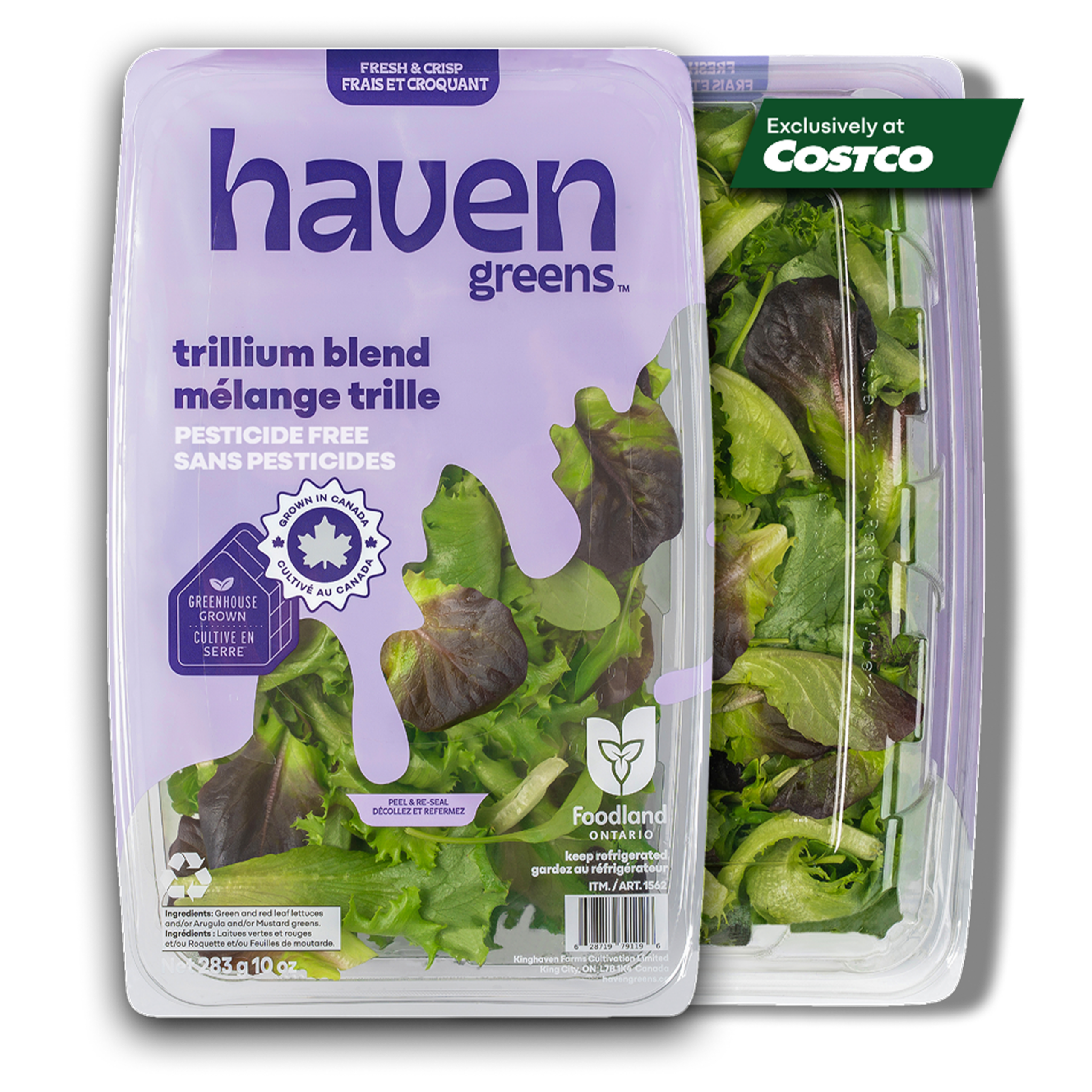 Haven Greens -